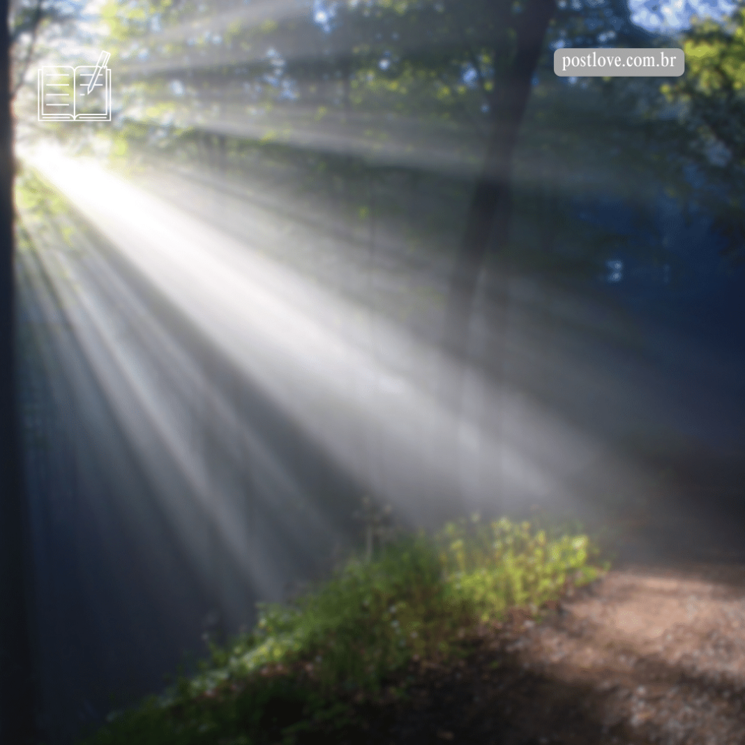 30 Frases do Chico Xavier que transmitem valiosas lições.