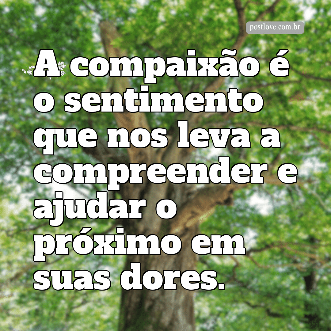 “A compaixão é o sentimento que nos leva a compreender e ajudar o próximo em suas dores.”