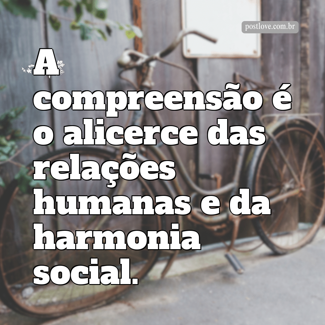 “A compreensão é o alicerce das relações humanas e da harmonia social.”