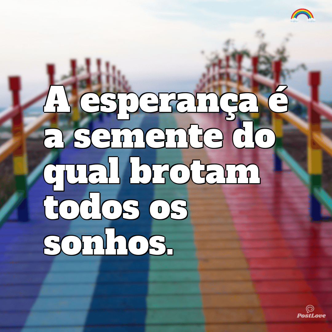 “A esperança é a semente do qual brotam todos os sonhos.”