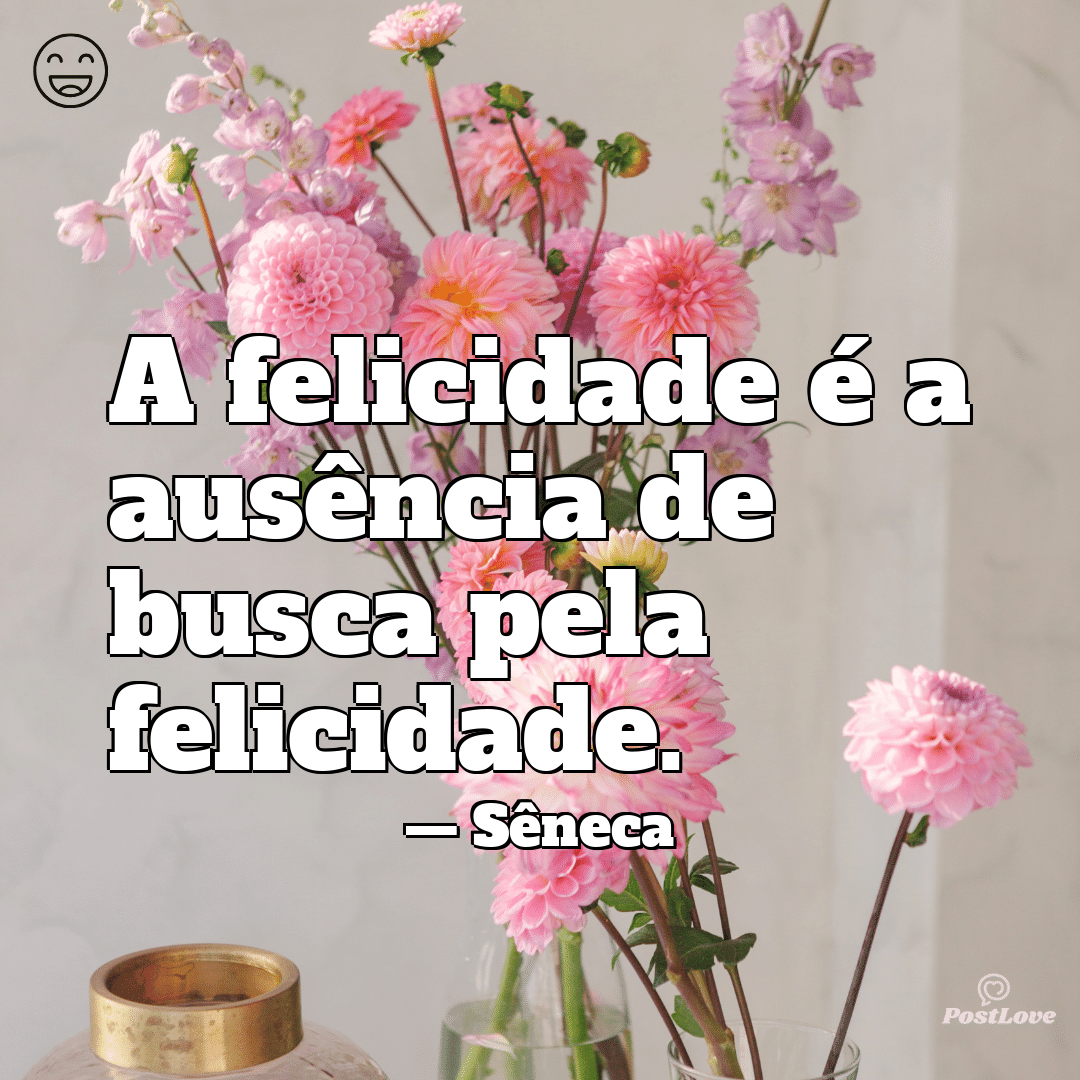 “A felicidade é a ausência de busca pela felicidade.”