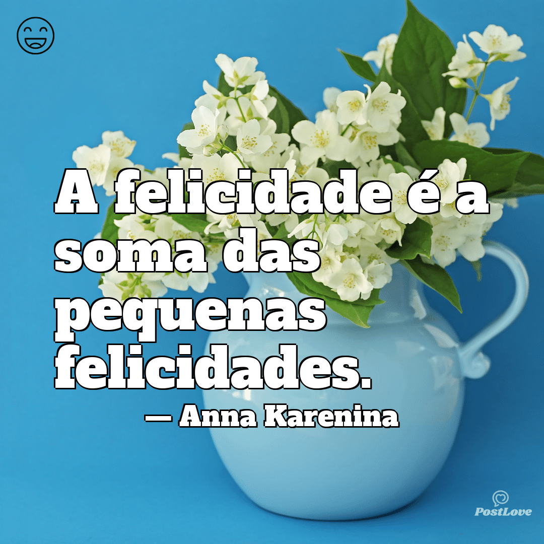 “A felicidade é a soma das pequenas felicidades.”