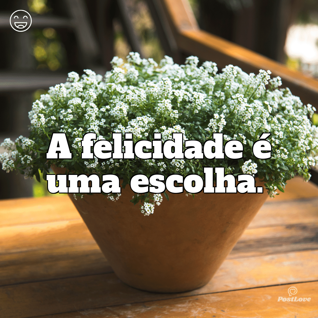 “A felicidade é uma escolha.”