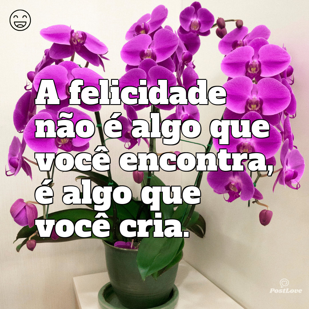 “A felicidade não é algo que você encontra, é algo que você cria.”