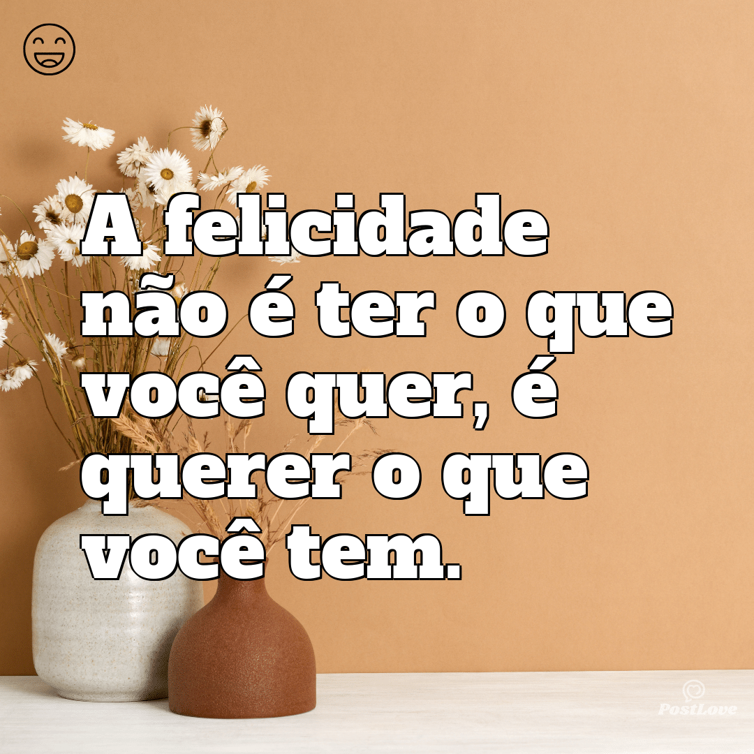 “A felicidade não é ter o que você quer, é querer o que você tem.”