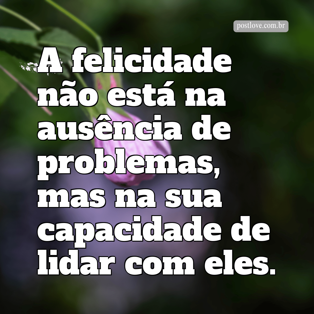 “A felicidade não está na ausência de problemas, mas na sua capacidade de lidar com eles.”
