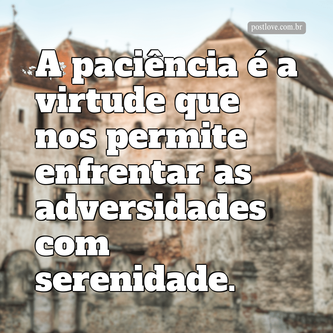 “A paciência é a virtude que nos permite enfrentar as adversidades com serenidade.”