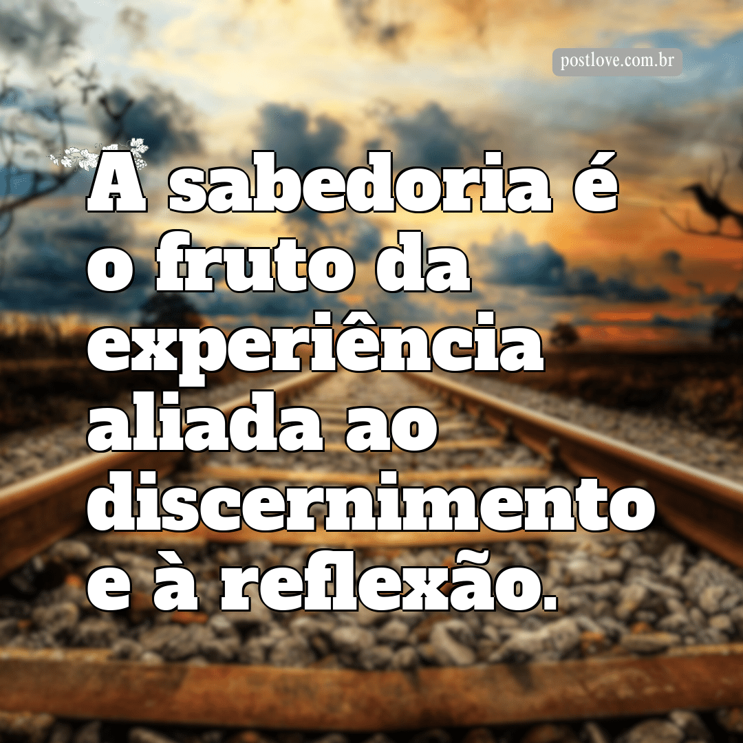“A sabedoria é o fruto da experiência aliada ao discernimento e à reflexão.”