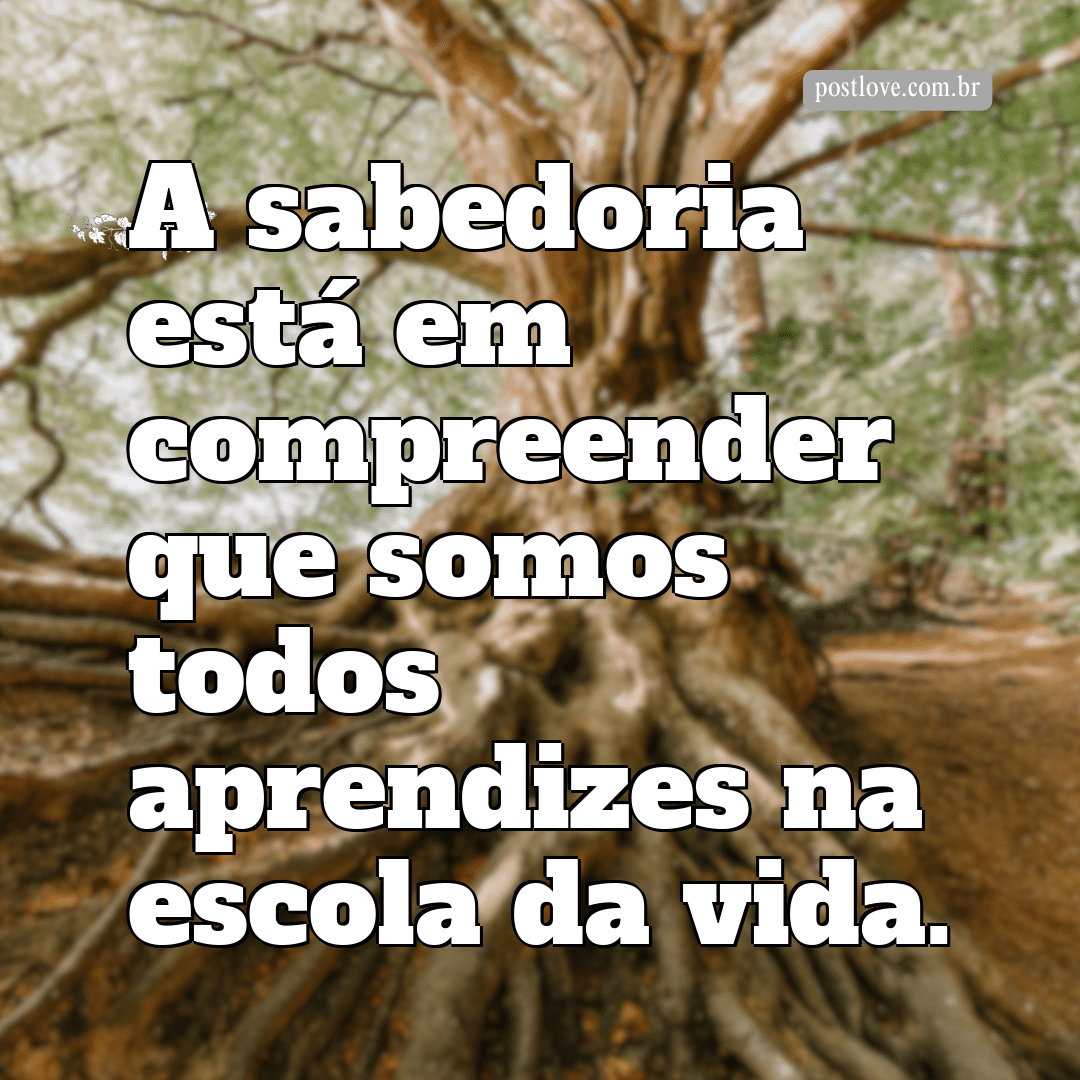 “A sabedoria está em compreender que somos todos aprendizes na escola da vida.”