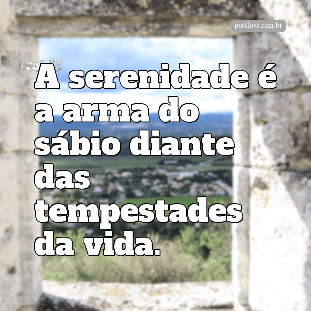 “A serenidade é a arma do sábio diante das tempestades da vida.”