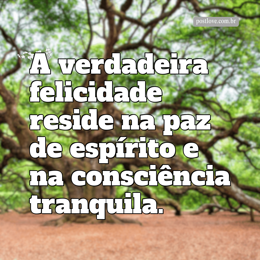 “A verdadeira felicidade reside na paz de espírito e na consciência tranquila.”