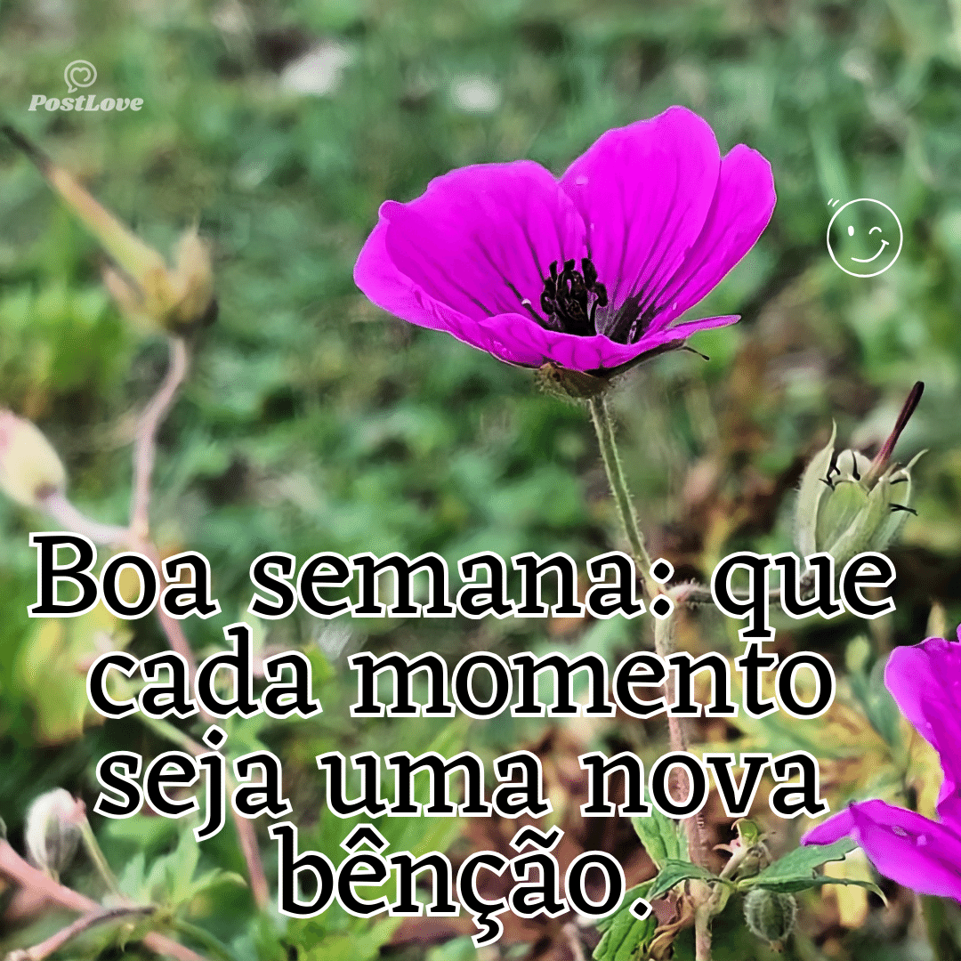 “Boa semana: que cada momento seja uma nova bênção.”