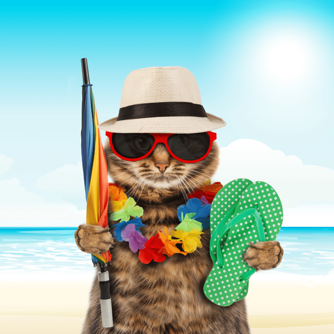 bom-diatodas50-frases-de-bom-dia-com-estes-seres-unicos-e-encantadores-para-alegrar-o-seu-dia-1