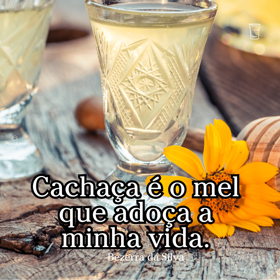 Cachaça é o mel que adoça a minha vida.