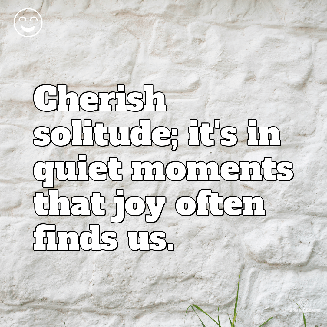 Cherish solitude; it’s in quiet moments that joy often finds us.