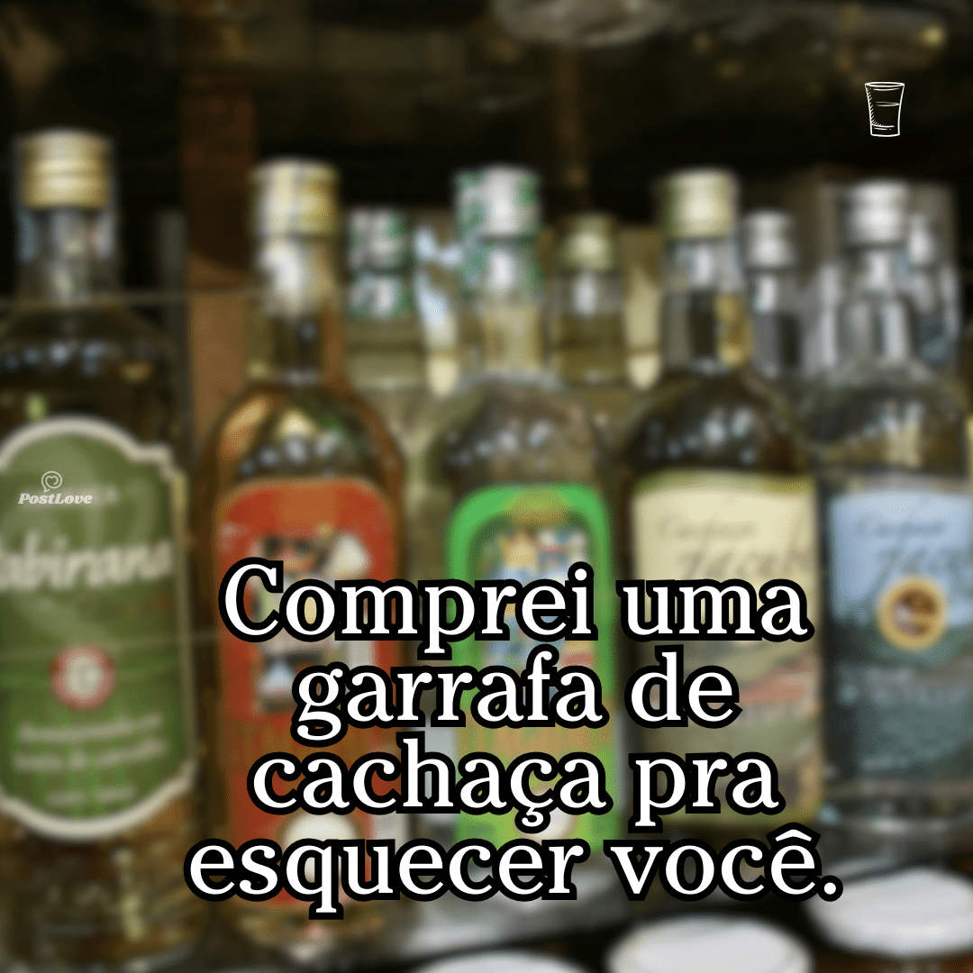 Comprei uma garrafa de cachaça pra esquecer você.