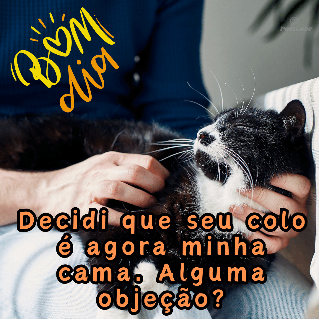 “Decidi que seu colo é agora minha cama. Alguma objeção?”