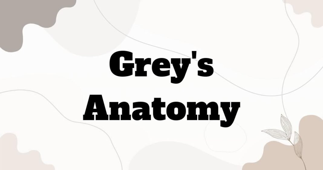 grey_s_anatomy