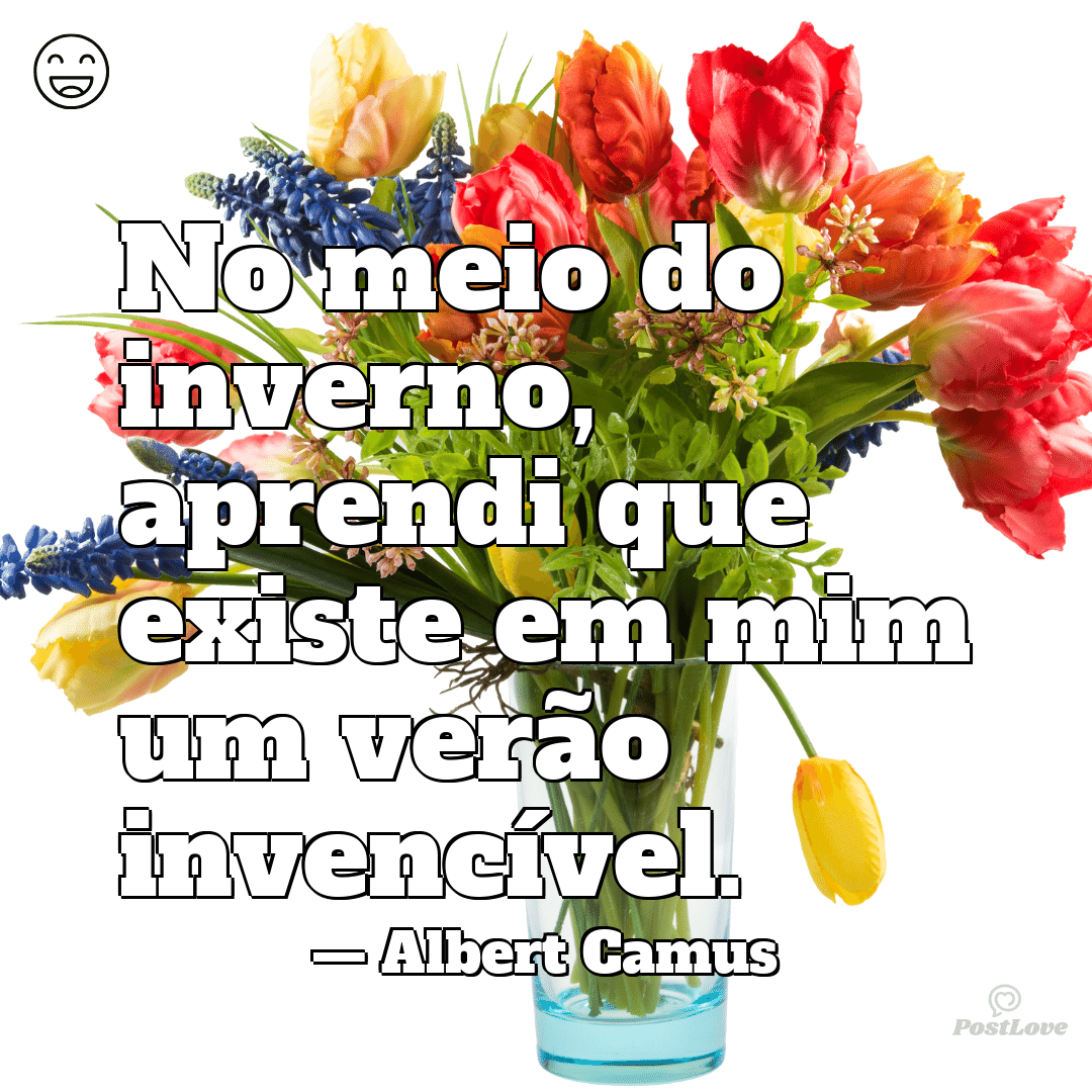 “No meio do inverno, aprendi que existe em mim um verão invencível.”