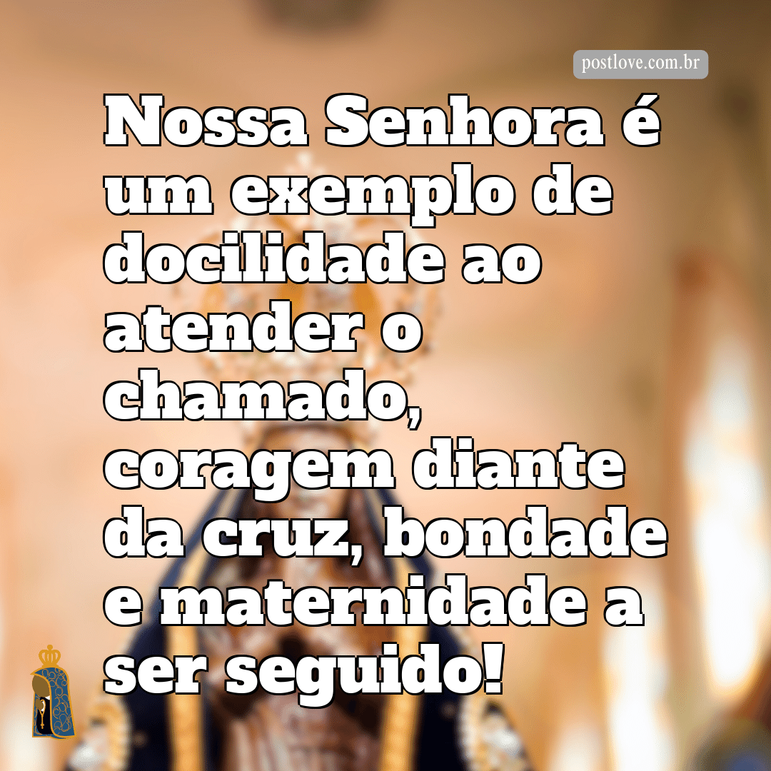 Nossa Senhora é um exemplo de docilidade ao atender o chamado, coragem diante da cruz, bondade e maternidade a ser seguido!