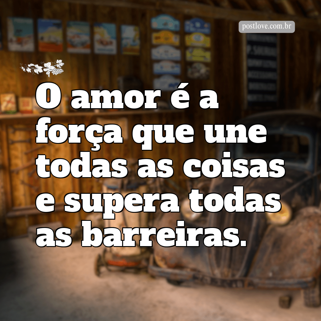 “O amor é a força que une todas as coisas e supera todas as barreiras.”