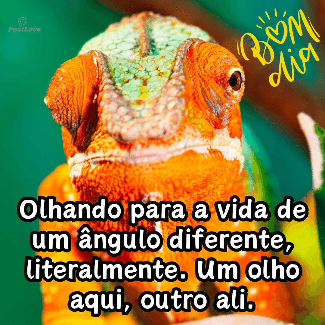 “Olhando para a vida de um ângulo diferente, literalmente. Um olho aqui, outro ali.”