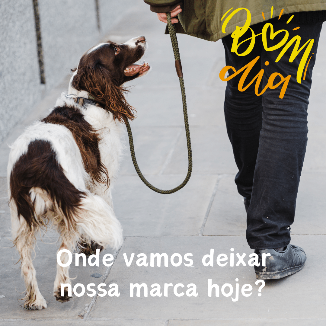 Onde vamos deixar nossa marca hoje?