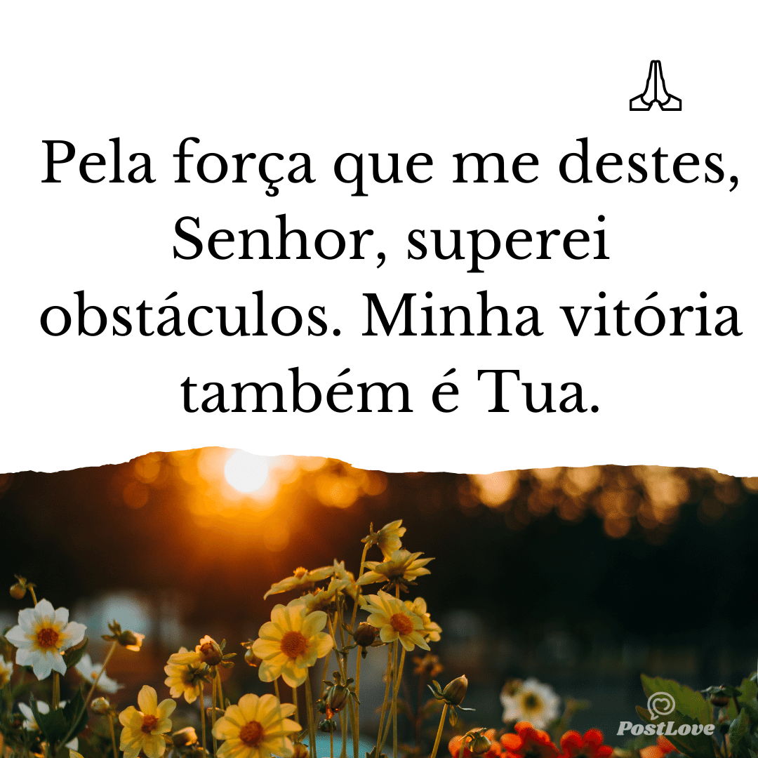Pela força que me destes, Senhor, superei obstáculos. Minha vitória também é Tua.