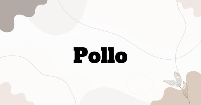 pollo