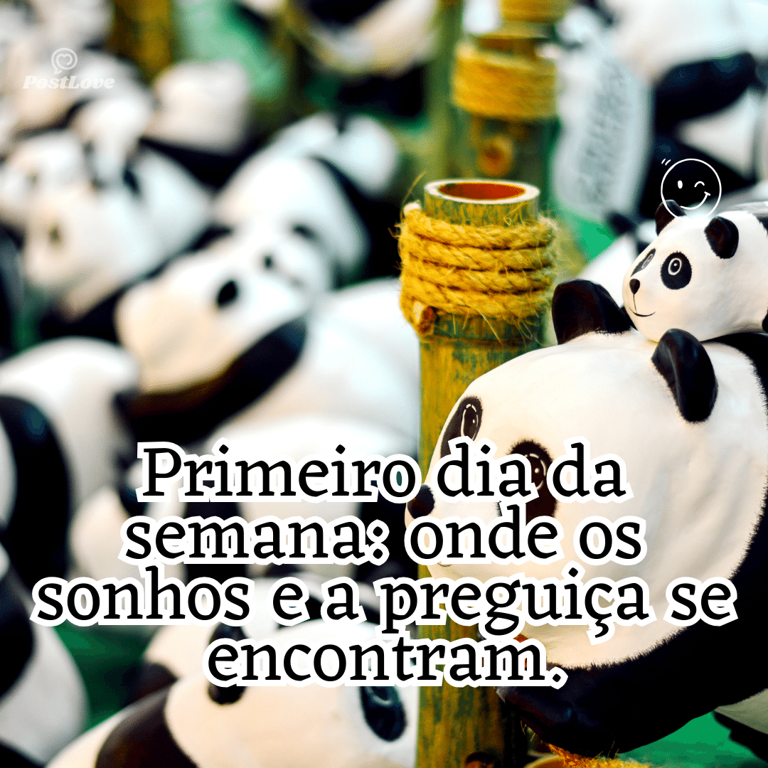 “Primeiro dia da semana: onde os sonhos e a preguiça se encontram.”