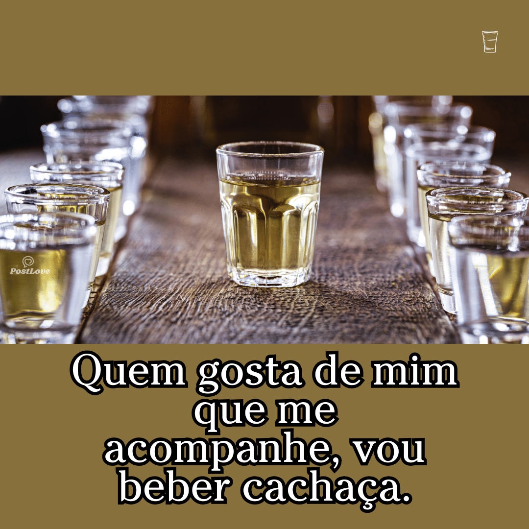 Quem gosta de mim que me acompanhe, vou beber cachaça.