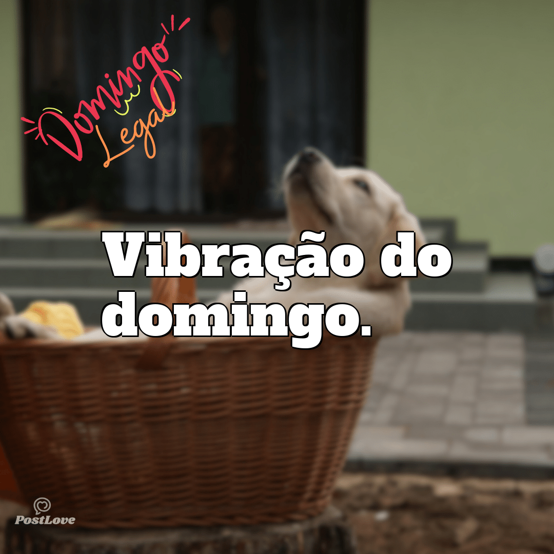 “Vibração do domingo.”
