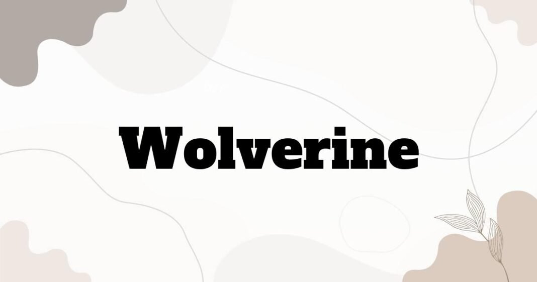 wolverine