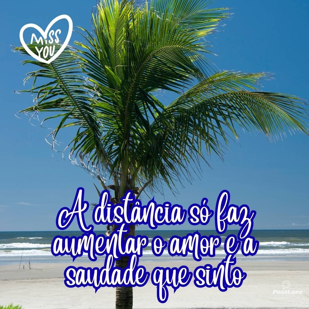 A distância só faz aumentar o amor e a saudade que sinto