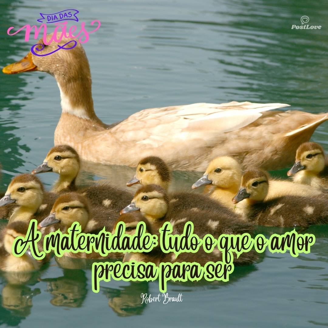 A maternidade: tudo o que o amor precisa para ser