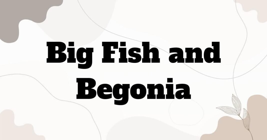 big_fish_and_begonia