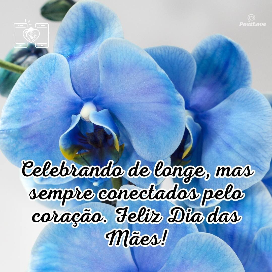 Celebrando de longe, mas sempre conectados pelo coração. Feliz Dia das Mães!