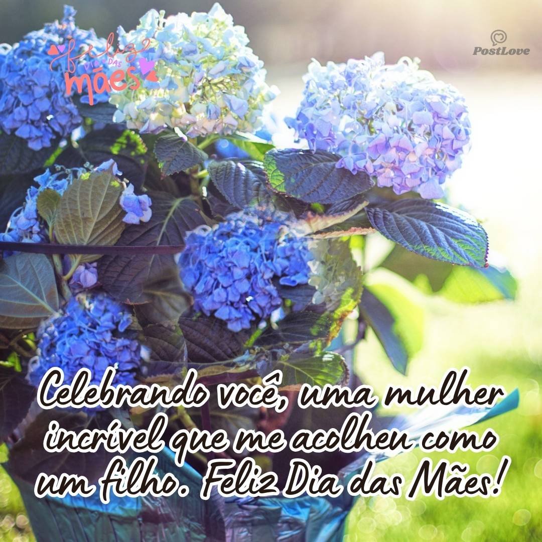 Celebrando você, uma mulher incrível que me acolheu como um filho. Feliz Dia das Mães!