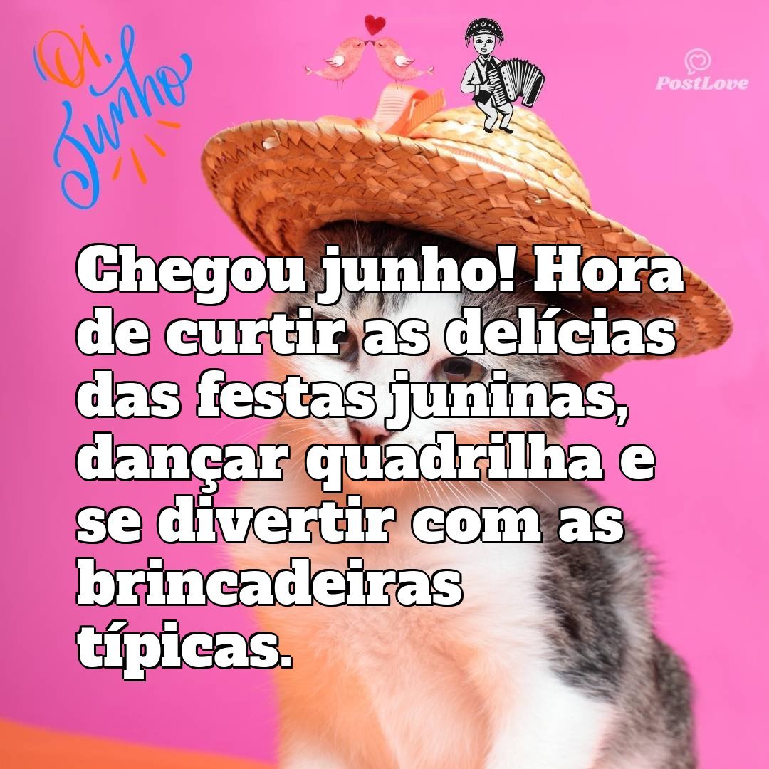 Chegou junho! Hora de curtir as delícias das festas juninas, dançar quadrilha e se divertir com as brincadeiras típicas.