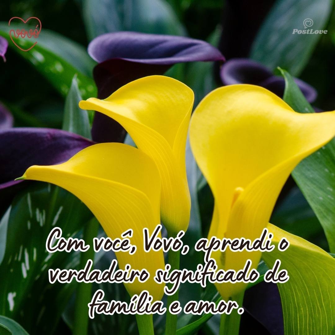Com você, vovó, aprendi o verdadeiro significado de família e amor.