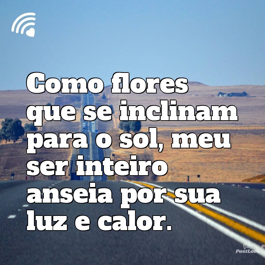 Como flores que se inclinam para o sol, meu ser inteiro anseia por sua luz e calor.