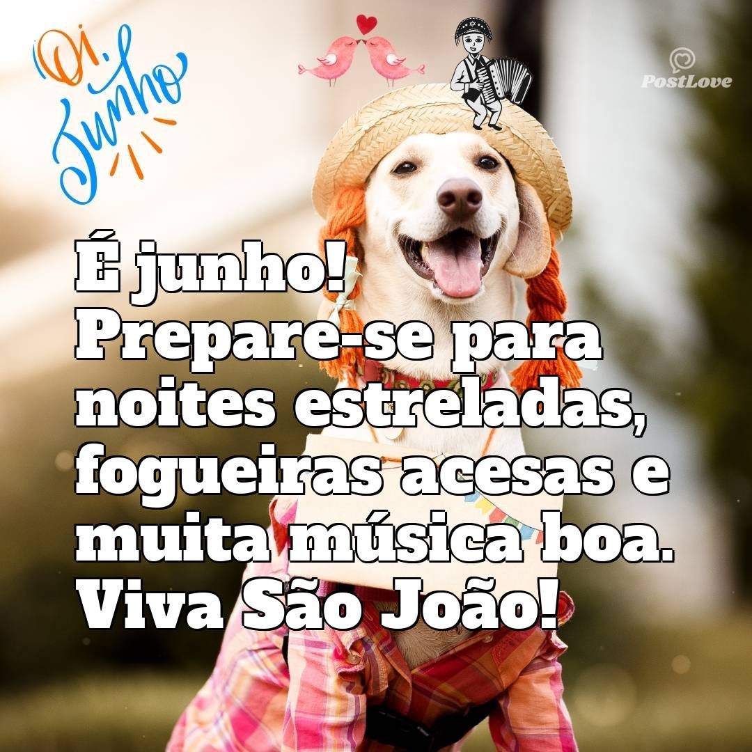 É junho! Prepare-se para noites estreladas, fogueiras acesas e muita música boa. Viva São João!