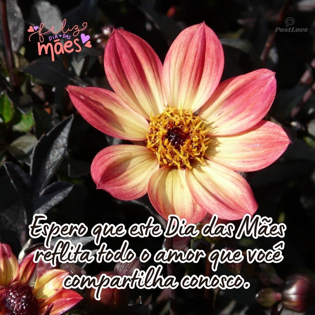 Espero que este Dia das Mães reflita todo o amor que você compartilha conosco.