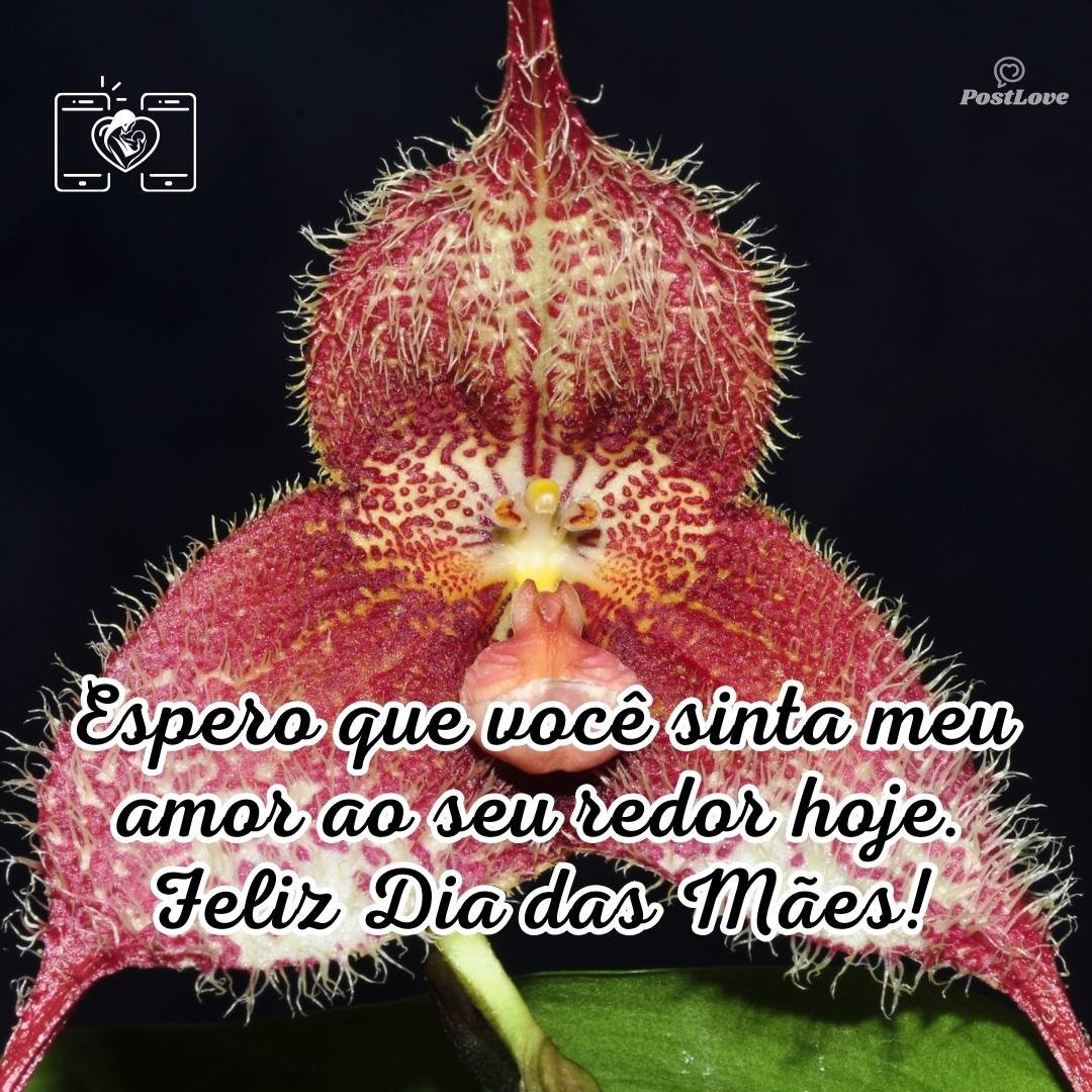 Espero que você sinta meu amor ao seu redor hoje. Feliz Dia das Mães!