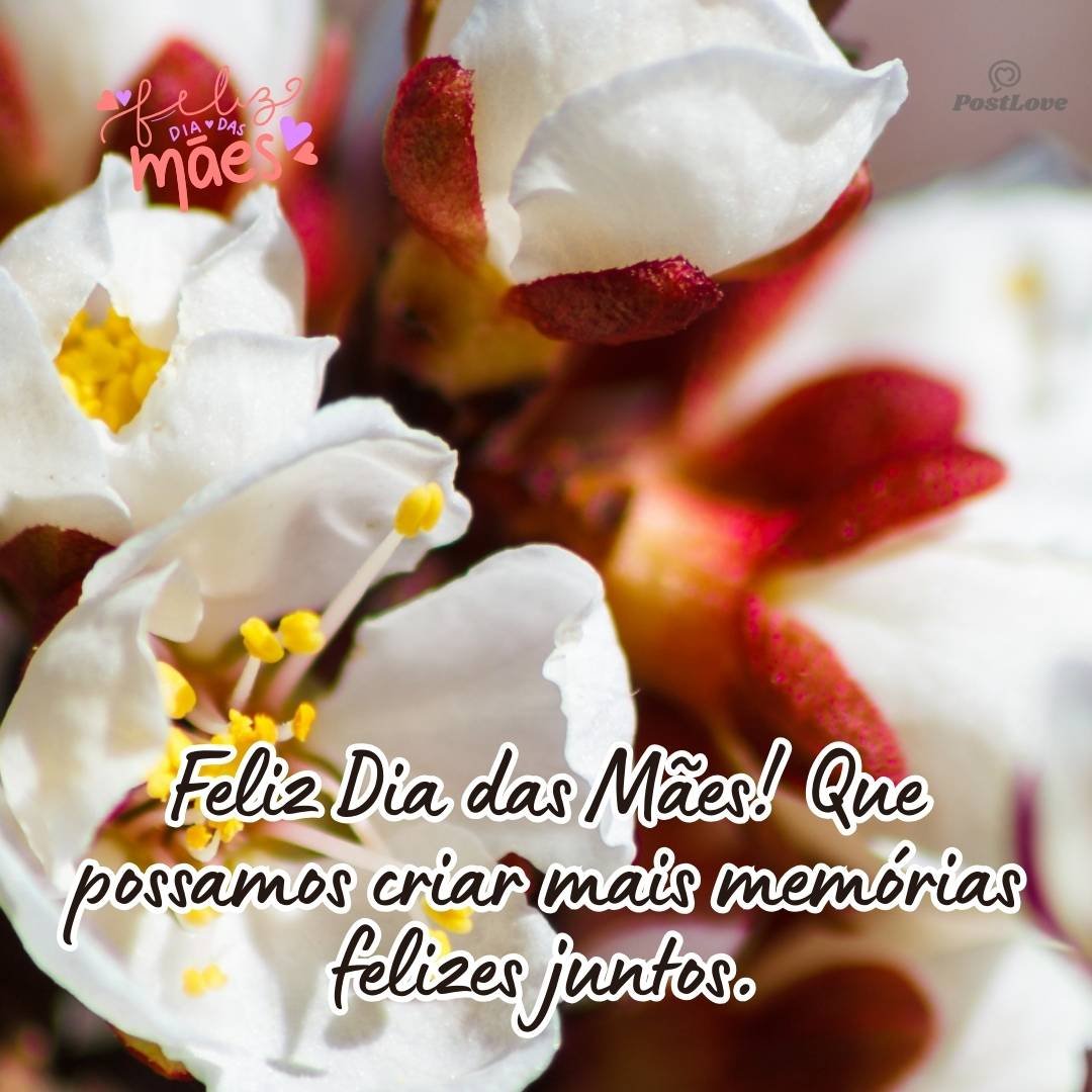 Feliz Dia das Mães! Que possamos criar mais memórias felizes juntos.