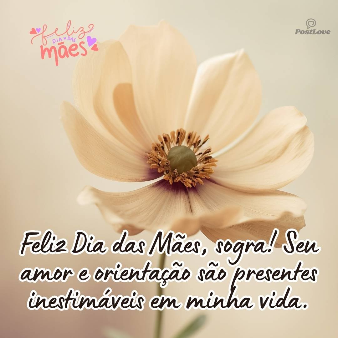 Feliz Dia das Mães, sogra! Seu amor e orientação são presentes inestimáveis em minha vida.