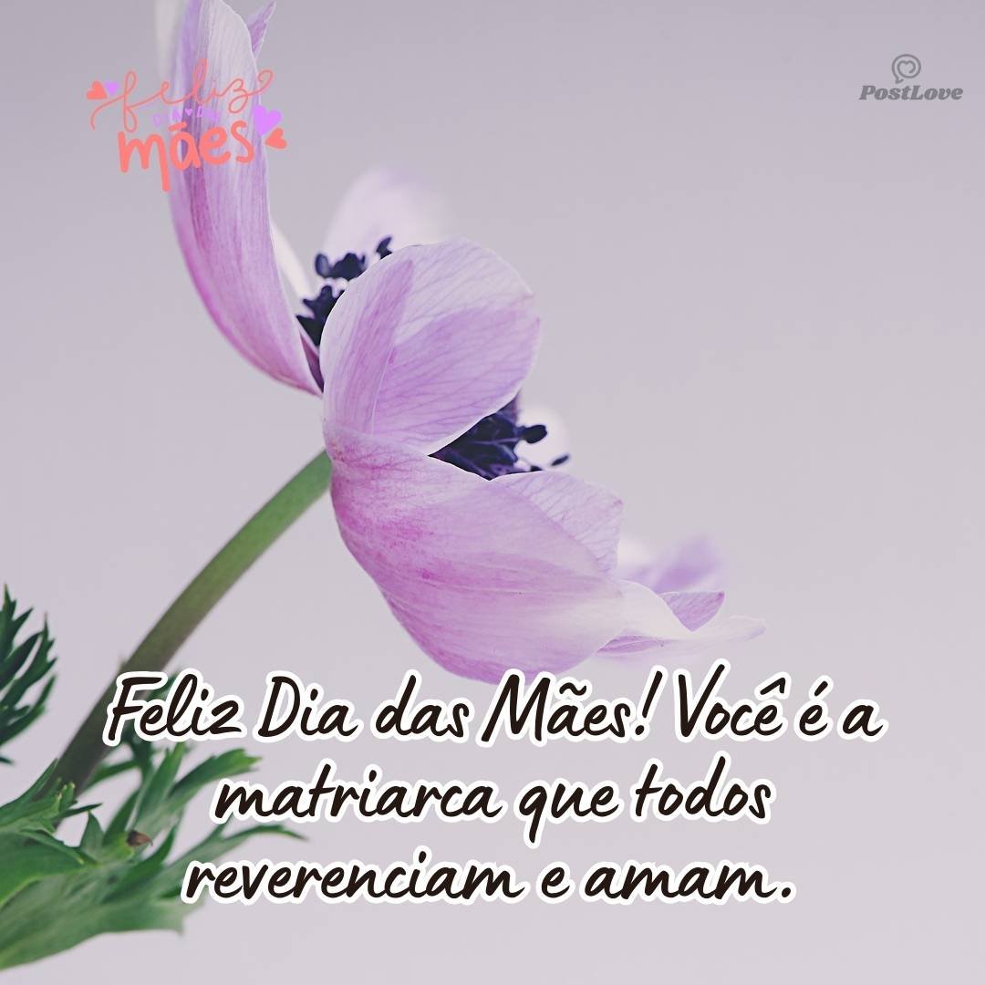 Feliz Dia das Mães! Você é a matriarca que todos reverenciam e amam.