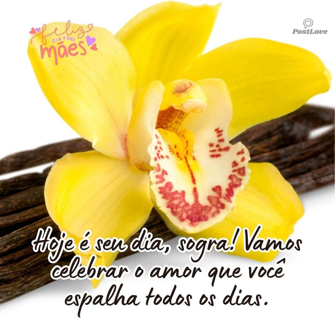Hoje é seu dia, sogra! Vamos celebrar o amor que você espalha todos os dias.