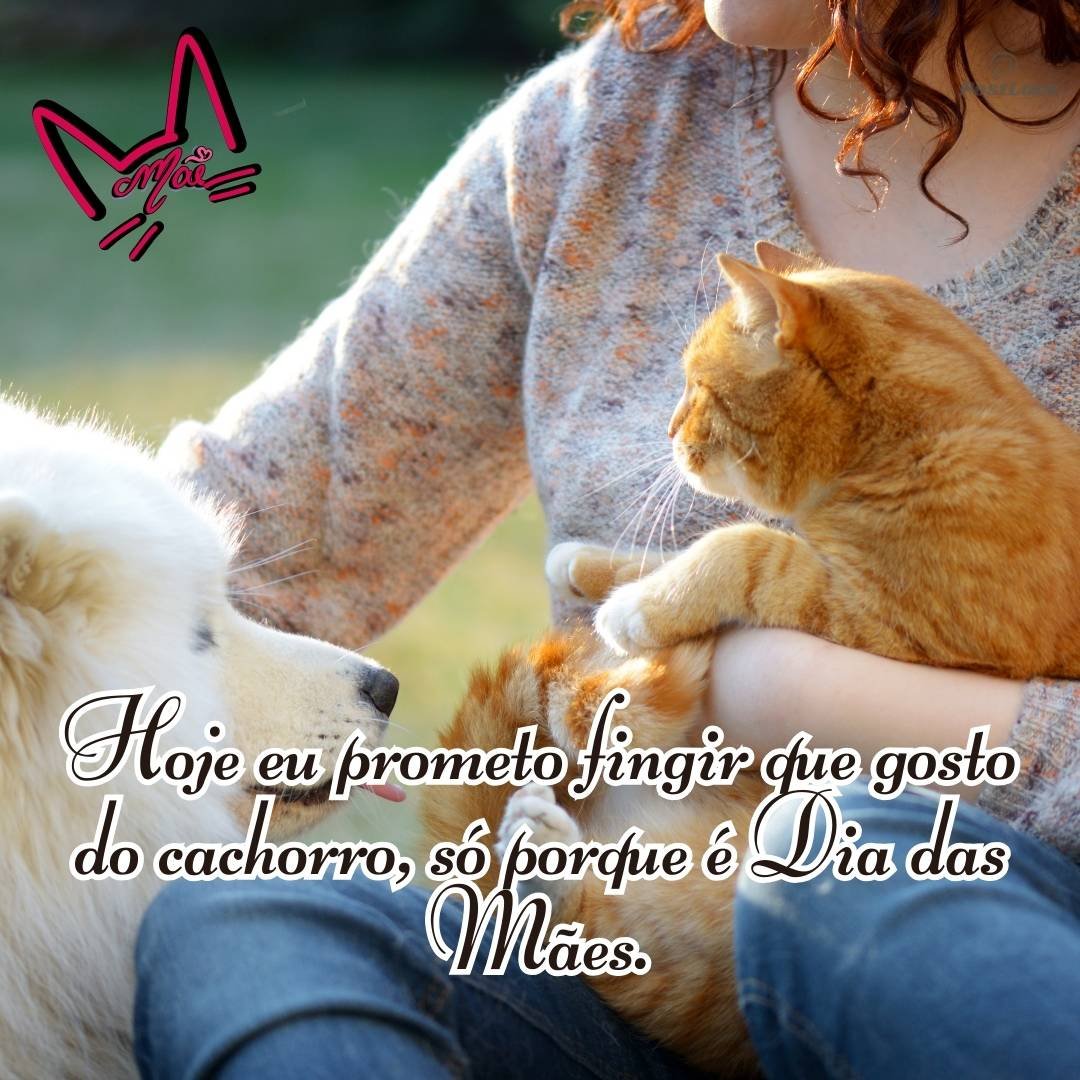 Hoje eu prometo fingir que gosto do cachorro, só porque é Dia das Mães.