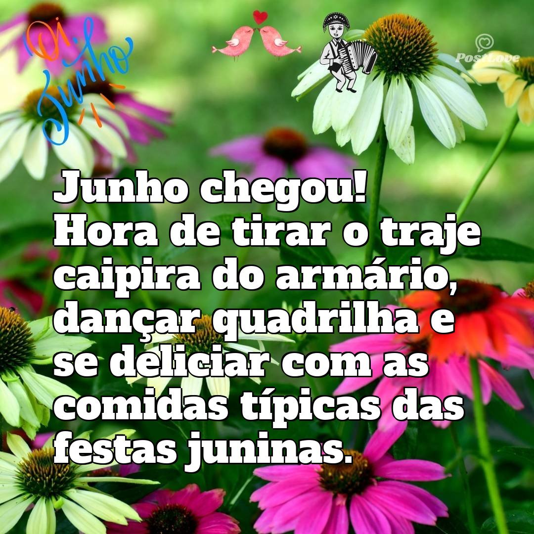 Junho chegou! Hora de tirar o traje caipira do armário, dançar quadrilha e se deliciar com as comidas típicas das festas juninas.